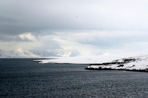 Woodfjord and Walrus 4